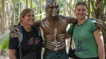 Cassowary Coast Waterfall Culture Tour