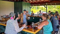 Craft Chocolate Tasting and Farm Experience on the Big Island