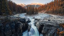 Athabasca Falls/Abraham,Sunwapta Falls,Icefield & Peyto Lake Tour