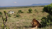 7 Days Kenya Trails