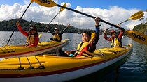 1 Hour Rental in a Deluxe Double Sea Kayak