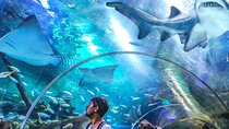Aquaria KLCC Direct Entry Ticket in Kuala Lumpur