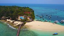 Prison Island Experience Half Day Tour With Transfer - Zanzibar
