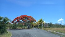 Private Tour in North Mauritius