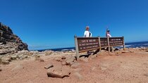 Private Tour : Cape of Good Hope,Penguin Colony& Muizenberg Beach
