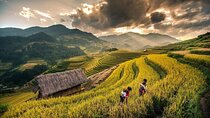 Sapa 3D2N Homestay and Hotel Experience by Limousine Bus