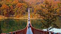 DMZ Tour Seoul to North Korea's 3rd Tunnel & Majang Lake Crossing