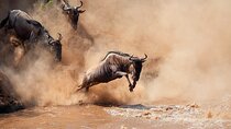 11 Days of Safari and Sun Tanzania’s National Parks and Zanzibar