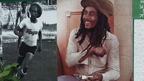 Bob Marley Museum from Montego Bay to Kingston Devon House Stop