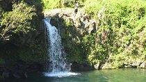 Private Road to Hana Rainforest & Waterfall Experience from Maui
