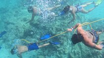 Catamaran Party and Hooka Diving Experience