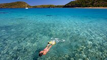Mantaray Island Day Trip with Lunch