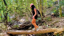 Hiking Adventure in Puerto Vallarta