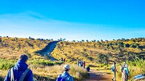Customized 6 Days Sri Lanka Honeymoon Package