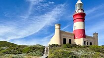  Cape Agulhas Full Day Private Tour