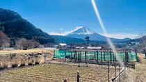 Mount Fuji One Day Private Customizable Tour with English Guide