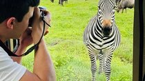8 days of Safari and Beach Holiday In Tanzania and Zanzibar