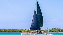 Catamaran Party Boat And Snorkeling Experience