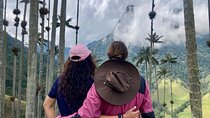 Private Full Day Tour in Cocora Valley and Coffee Farm