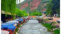 Day Trip to the Ourika Valley