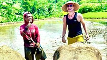 Nepal Van Java and Buffaloes Activity with Local Community 