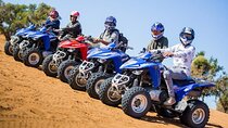 Unforgettable Quad bike experience