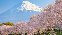 Mount Fuji and Hakone Private Tour with English Speaking Driver