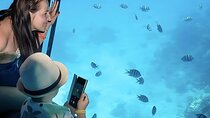Hurghada: Glass Boat and Parasailing Trip with Snorkeling