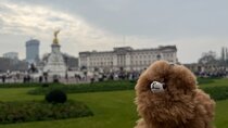 London Private Guided City Tour by Car