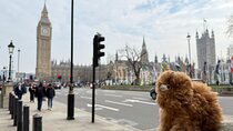 Royal London Westminster and Palaces Private Guided Walking Tour