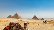 Experience Egypt in 7 days to Cairo Luxor and Aswan