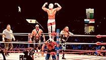 Tour Lucha Libre ,Tacos, Tequila and Mezcal in Mexico City 