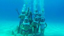 Marine Adventure Tour