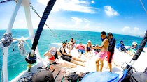 Catamaran Sail Adventure to Isla Mujeres with buffet & open bar 