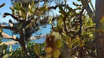Monaco Private Full Day Guided Tour