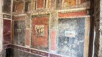 From Positano: Pompeii Guided Tour with Skip the Line 