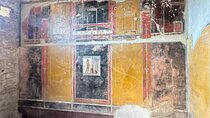 Pompeii Tour with Wine and Olive oil Tasting from Positano