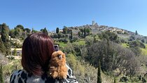 All French Riviera Private Full Day-Tour