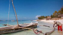 Nungwi Village & Swim with Sea Turtles With Transfer - Zanzibar