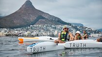 Dolphin And Ocean Wildlife Kayaking Adventure on Promenade