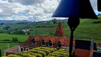 Private Wine Tasting Tour in Douro Valley