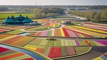 Tulips and Windmills Skip the Line Private Tour from Amsterdam
