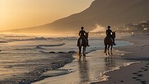 Noordhoek Beach Horseback Riding in Cape Town