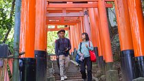 1-Day Kyoto and Nara Highlights Day Trip with a Private Car 