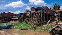 Kompong Phluk Tour, Explore Mangroves & Stilt Houses
