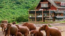 11 Days Kenya Lodge Holiday Safari