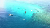 Prison Island & Spice Farm Tour with Lunch & Transfers - Zanzibar