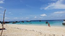 Nungwi Village & Turtle Swimming Tour with Transfer - Zanzibar