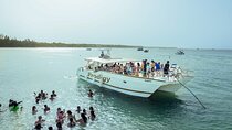 Punta Cana Catamaran Private Tour with BBQ and Natural Pool