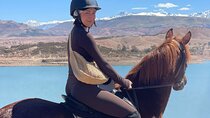 Horse Riding by Black Stallion Marrakech